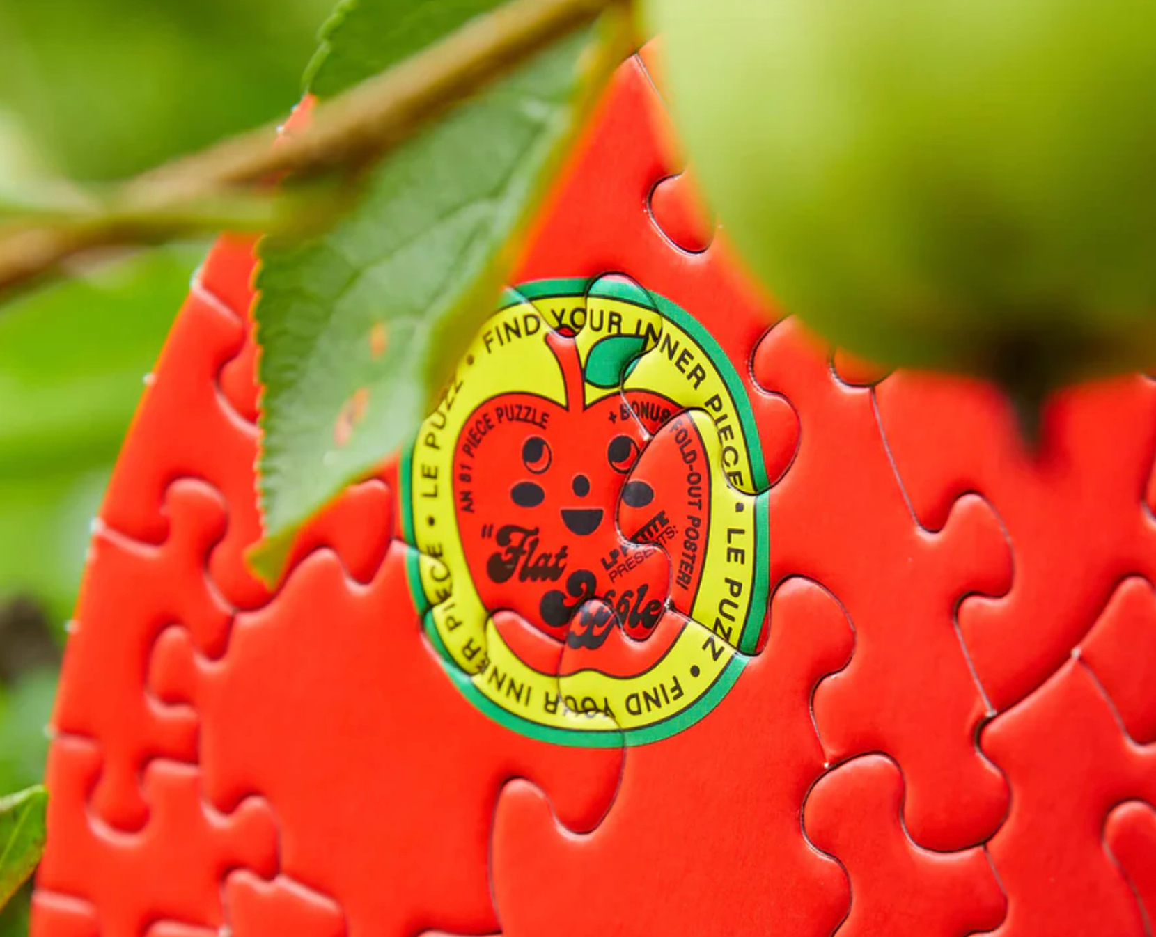 Flat Apple  81 ct. Mini Puzzle by Le Puzz